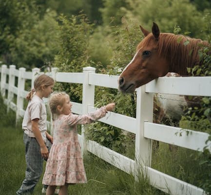 Descubre los mejores alimentos termogénicos para quemar grasa